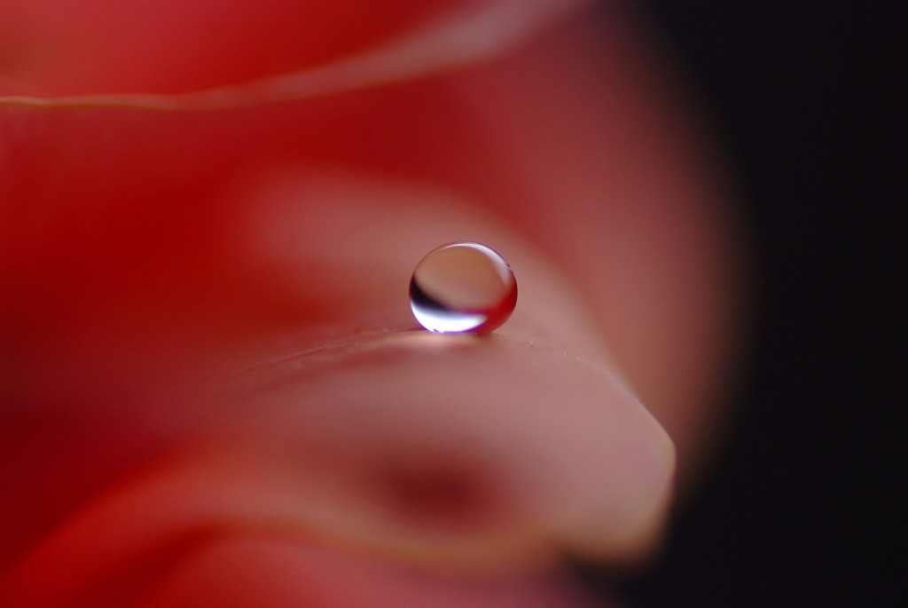 マイライフ・雫