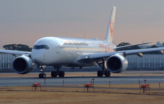 Morning of January 22nd✈JA01XJ