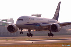 Wedding Anniversary・787