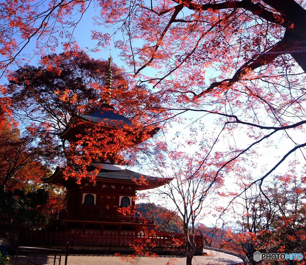 紅葉物語・北摂