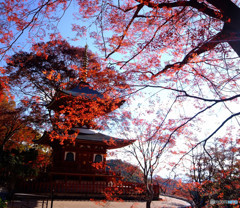 紅葉物語・北摂