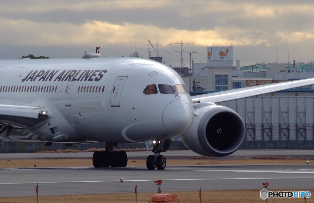 妄想の旅へⅡ✈Boeing 787-8