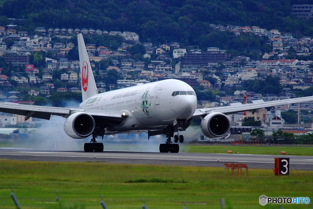 A gift from the North・（Ⅲ）