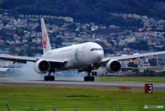 A gift from the North・（Ⅲ）