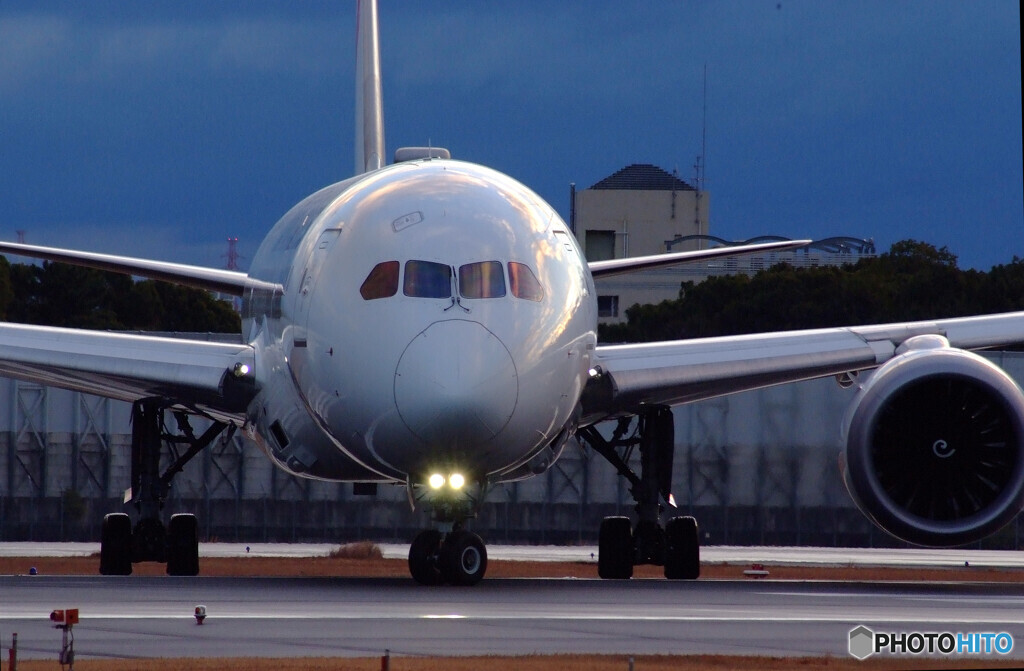 Morning Light✈Boeing787-8