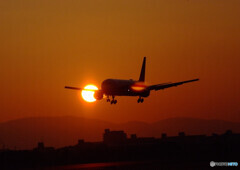 俺の朝焼け2022✈Boeing 767