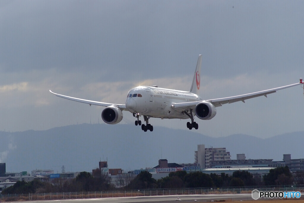Sunday in FebruaryⅥ☆JAL Boeing787-8