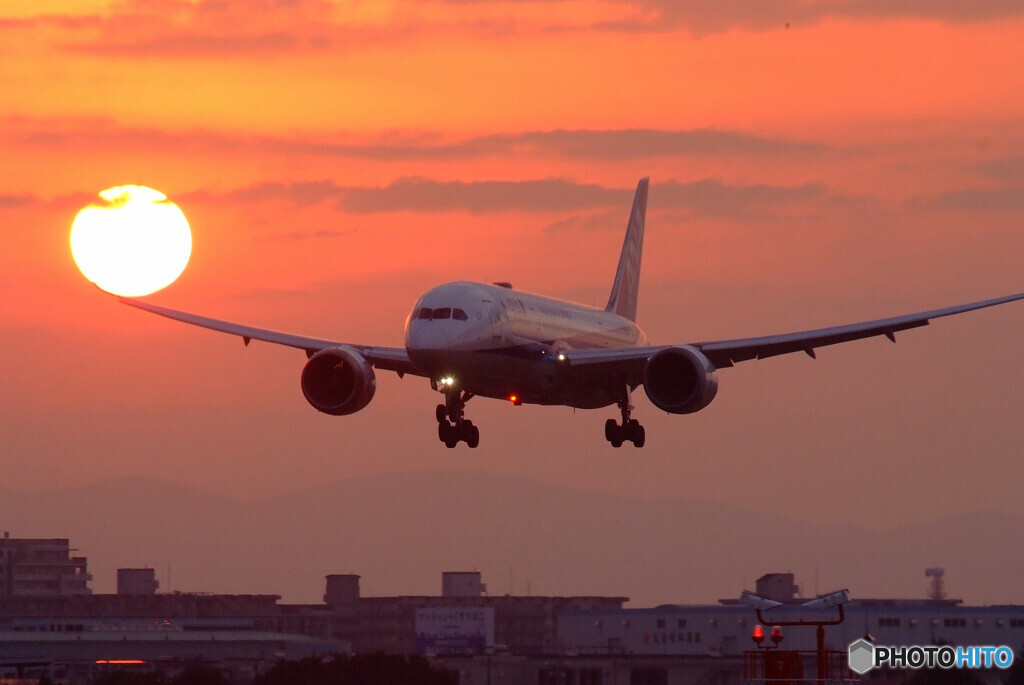 January Sunrise✈787