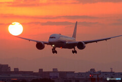 January Sunrise✈787