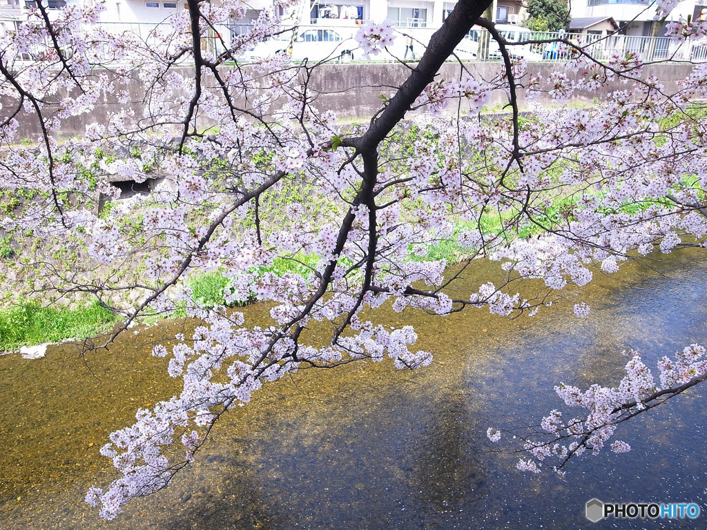 そうだ！天神川に行こう！