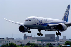 Boeing 787-8 Dreamliner 