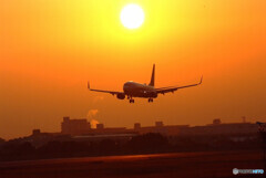 Morning Glow✈HARADA