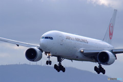 Delusion Travel・Ⅳ