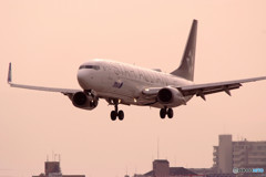 Gift of Spring・JA51AN