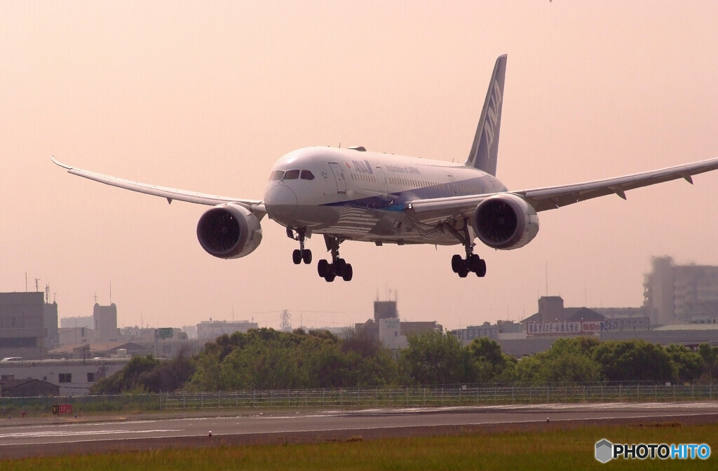 春色の誘惑✈JA802A