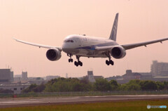 春色の誘惑✈JA802A