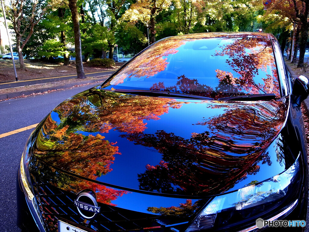 紅葉Drive✿2022秋