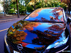 紅葉Drive✿2022秋