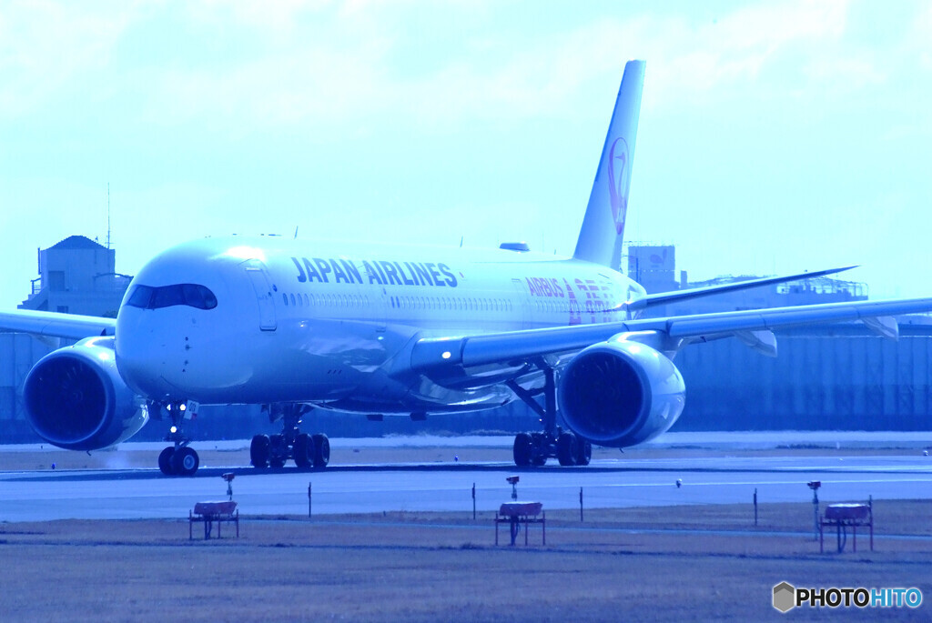 蒼の世界へＧＯ！✈JA01XJ