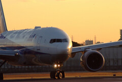 沈黙の朝✈Boeing777-200
