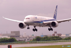 夢の世界へⅣ・JA830A