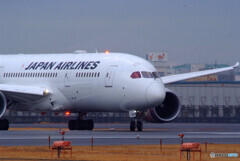 Lovely SundayⅡ✈JA846J