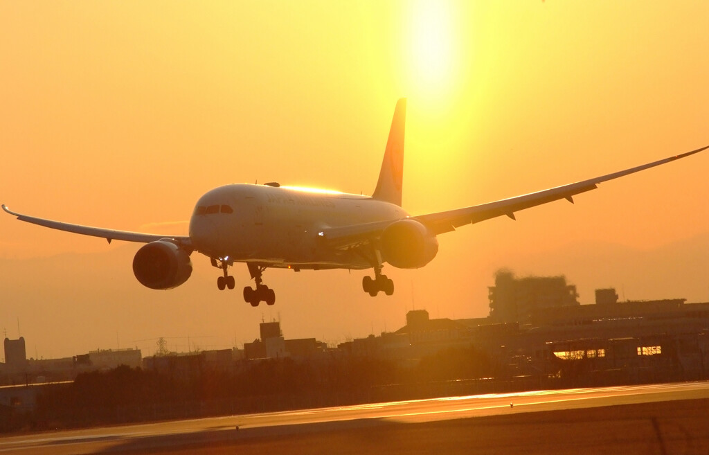 PRIDEJAPAN✿Boeing787-8