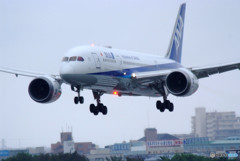Good Morning・787