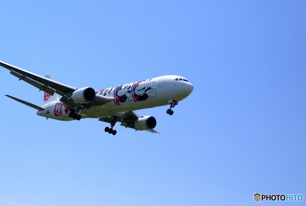 聖地の空から・MICKEY