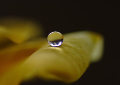 光の向こうへ・雫