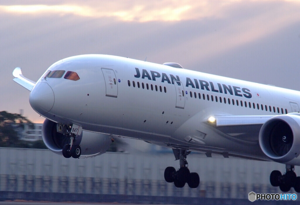 2月の空から✈JAL