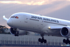 2月の空から✈JAL