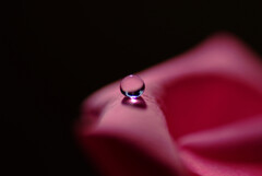 真実の瞳✿嘉月の誓い