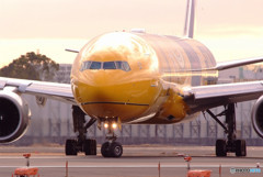 Beautiful MorningⅡ・777