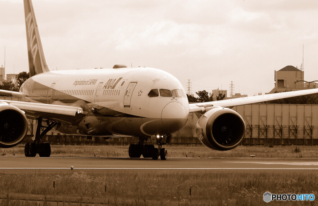 NextStage✈Boeing 787-8