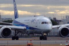 妄想の旅へⅨ✈Boeing787-8 妄想の旅へⅨ✈Boeing787-8