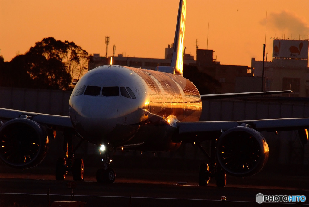 HARADA IllusionⅡ・A321