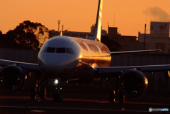 HARADA IllusionⅡ・A321