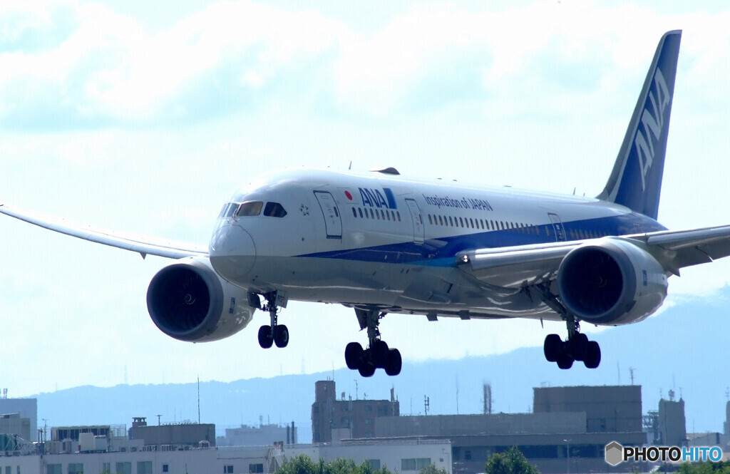 8月の空✈Boeing787-8