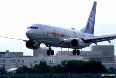 いい日旅立ちⅣ・FLOWER JET