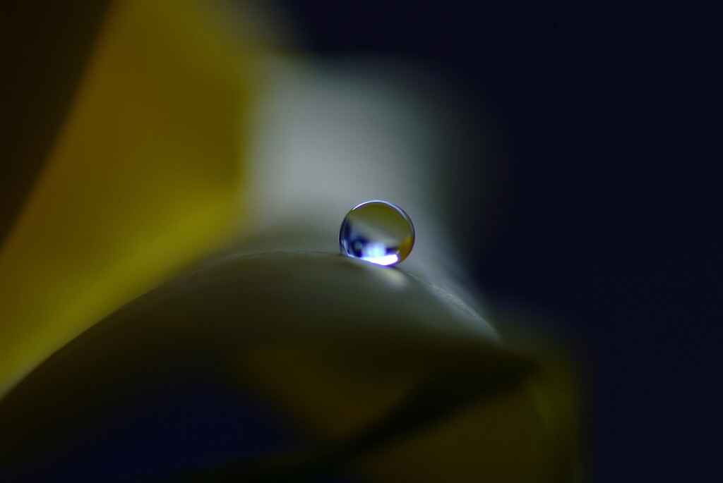 沈黙の瞳✿嘉月の朝