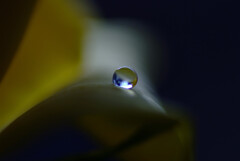 沈黙の瞳✿嘉月の朝