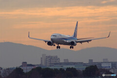 HARADAの朝✈Boeing 737-800 