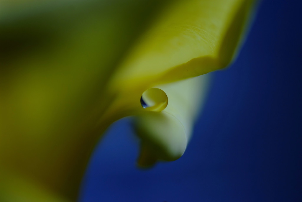 如月の惑星・雫（Ⅰ）