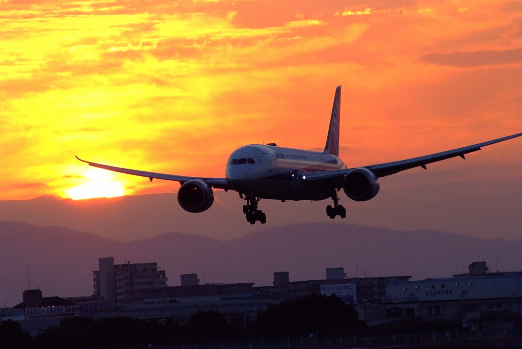 Beautiful MemoriesⅤ✈787-8 Dreamliner