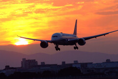 Beautiful MemoriesⅤ✈787-8 Dreamliner