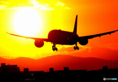 飛翔2021✈HARADA