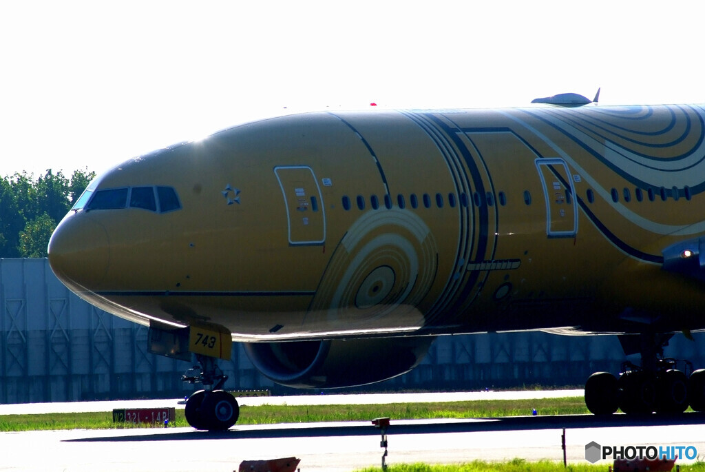 HARADAの朝✈沢庵JET