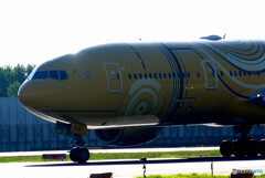 HARADAの朝✈沢庵JET