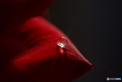 光りの十字架・雫